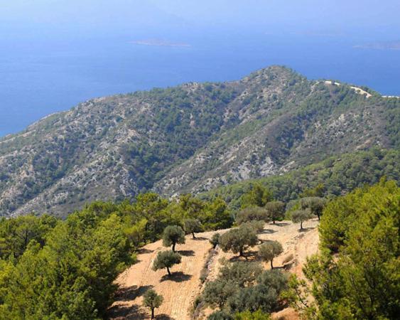 Διαμέρισμα Rustic House *